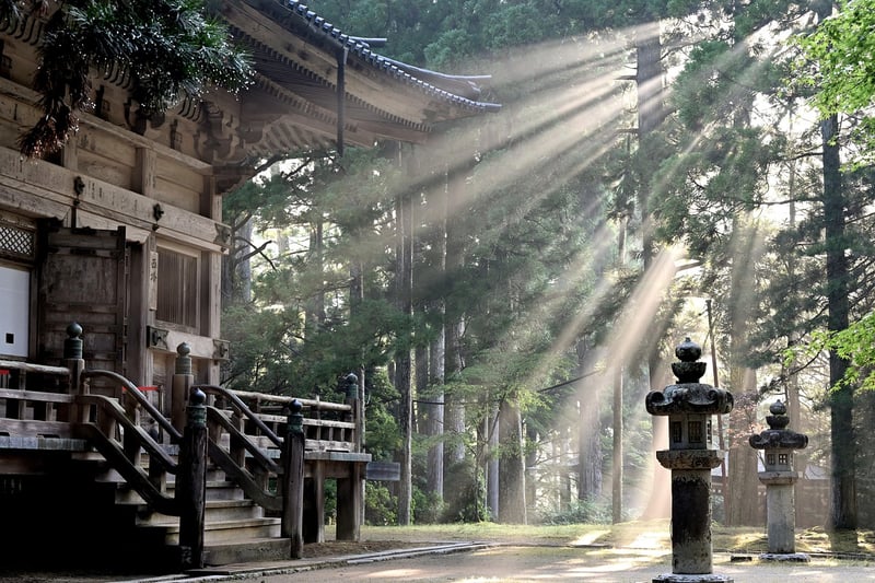 Solar Energy